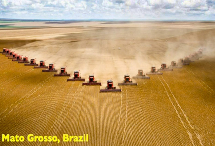 Mato Grosso Brazil