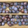 Forage London foraged plums crate