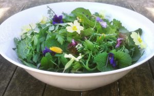 Forage London wild winter salad