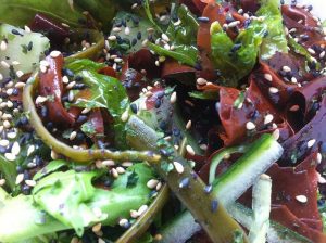 foraged seaweed salad coastal foraging