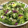 Springtime mixed wild salad