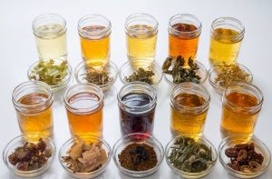 wild plant infusions