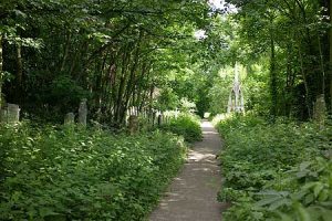 Foraging in Tower Hamlets park scene