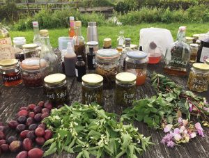 Forage London foraged store cupboard on garden table