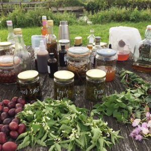 Forage London foraged store cupboard on garden table