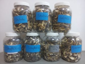 Forage London dried mushroom store cupboard