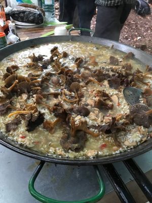 wild cooking with foraged mushrooms mushroom paella