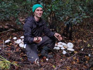 Forage London Ru Kenyon forager mushrooms