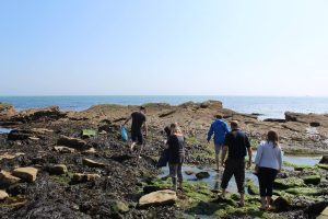 Seashore foraging on the Dorset coast during a Forage London course.