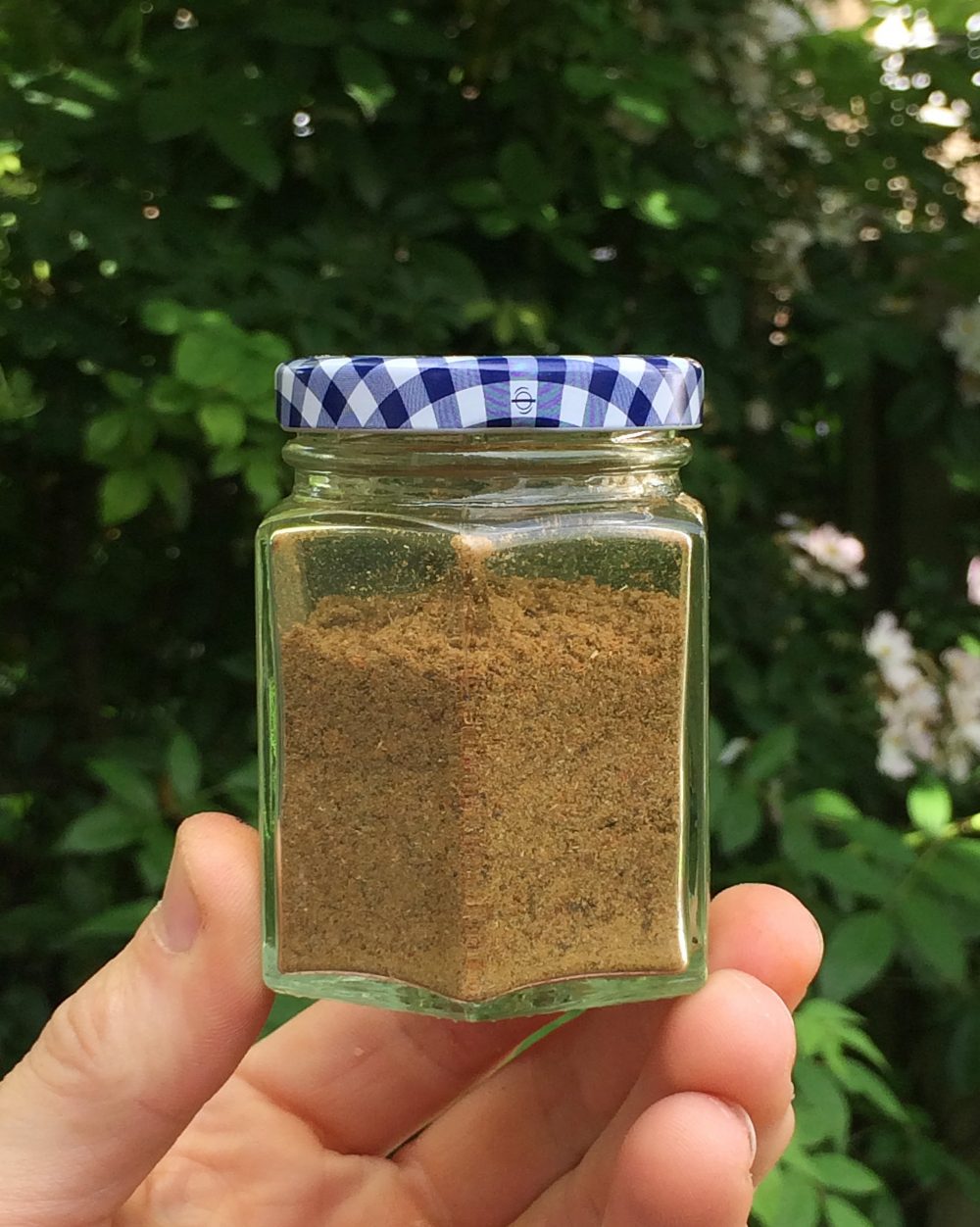 jerk seasoning made from foraged spices