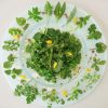 Wild winter salad collected on a Forage London wild food walk