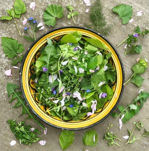 Wild salad foraged during Forage London wild food walks in the New Forest.