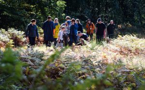 John rensten, wild food foraging walk in Dorset