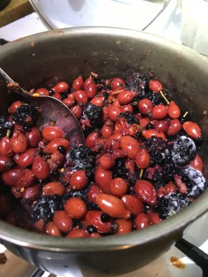 Foraged rosehip and berries cooking in a pan