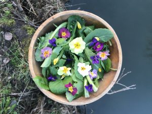 Springtime wild salad