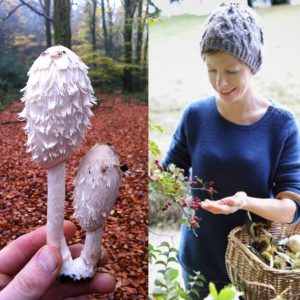 Mushrooms and berries collected on wild food walk with Forage London