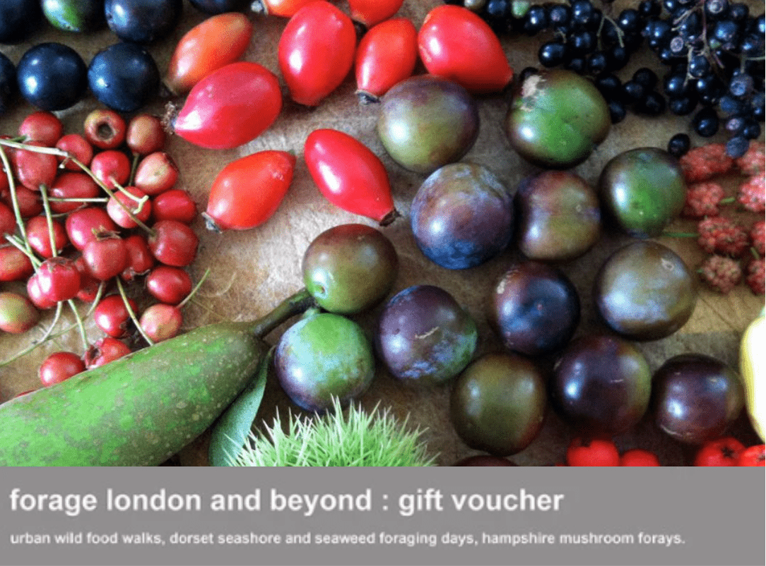 Forage London Gift Voucher - Wild berries