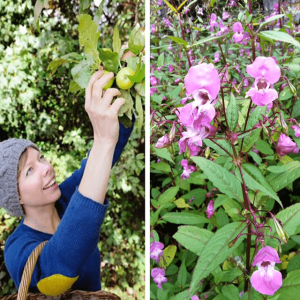 Summer foraging course attendee