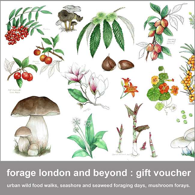 Forage London Gift Voucher