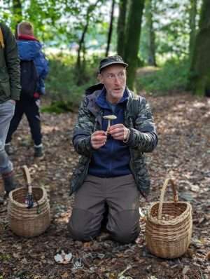 Identifying edible and poisonous mushroom species