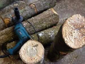 Wood and tools for mushroom growing - foraging London