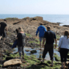 Seaweed and seashore foraging in Dorset