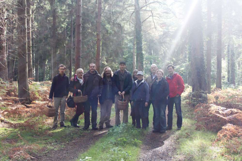 Group of people foraging in wood