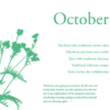 The Edible City - October - Blog Cover