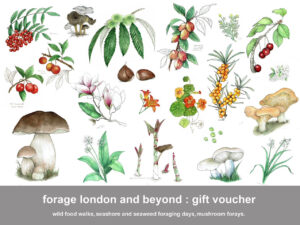 Forage, London, and beyond gift voucher