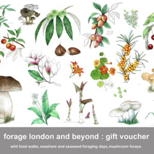 Forage, London, and beyond gift voucher