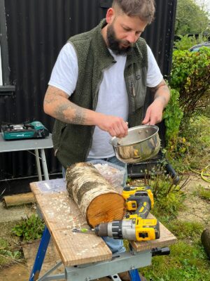 Man plugging a log with oyster mushroom spore plugs